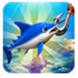 Deep Sea